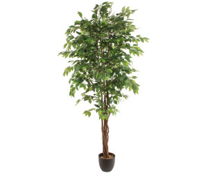 Dirbtinis augalas FICUS 2.20m